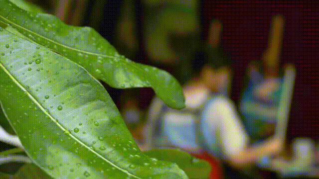 3gif.gif