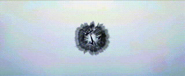 1.gif