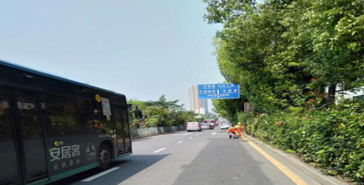 3.雅园路修剪遮挡交通指示牌2.png