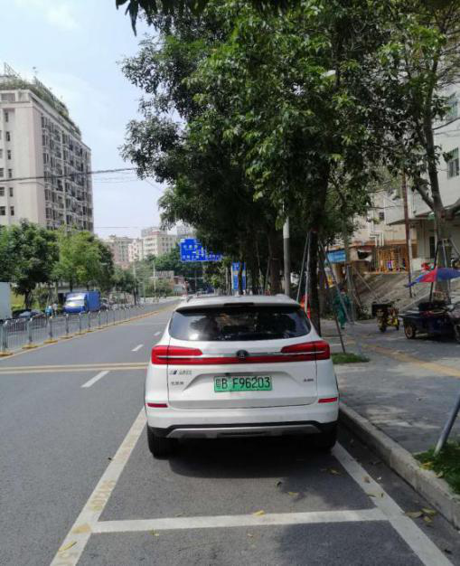 4.虎山路修剪遮挡交通指示牌1.png