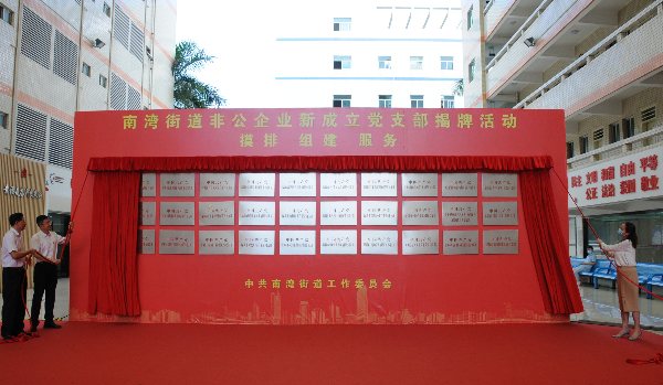 南湾街道非公企业新成立党支部揭牌活动1.jpg