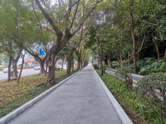 新春新气象，深圳市交通运输局龙岗管理局整治慢行系统保障道路安全.png
