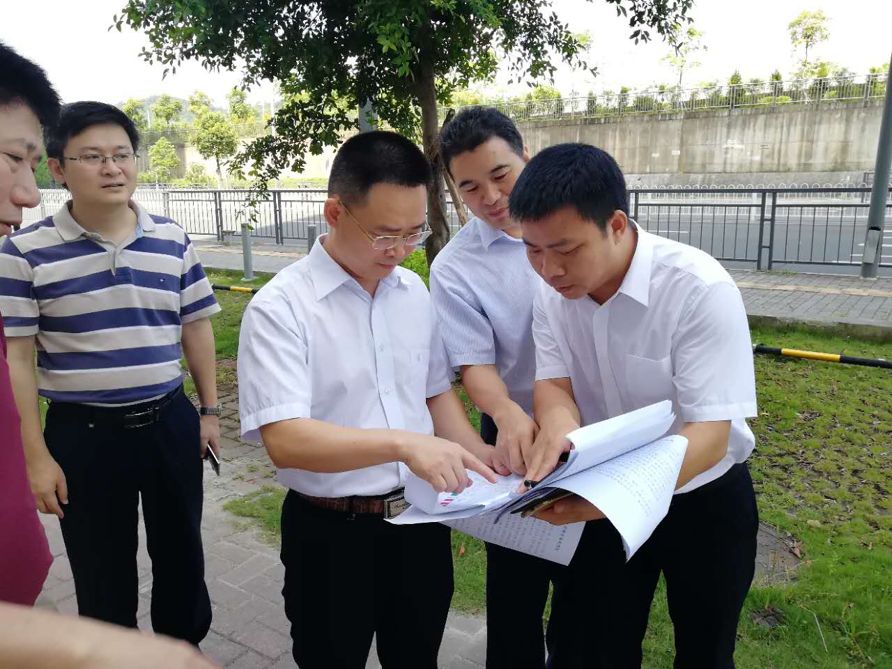 QQ图片1