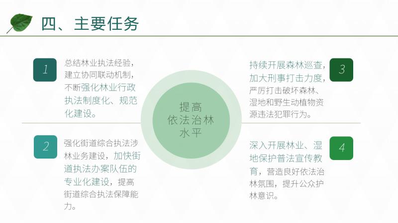 图片12.jpg