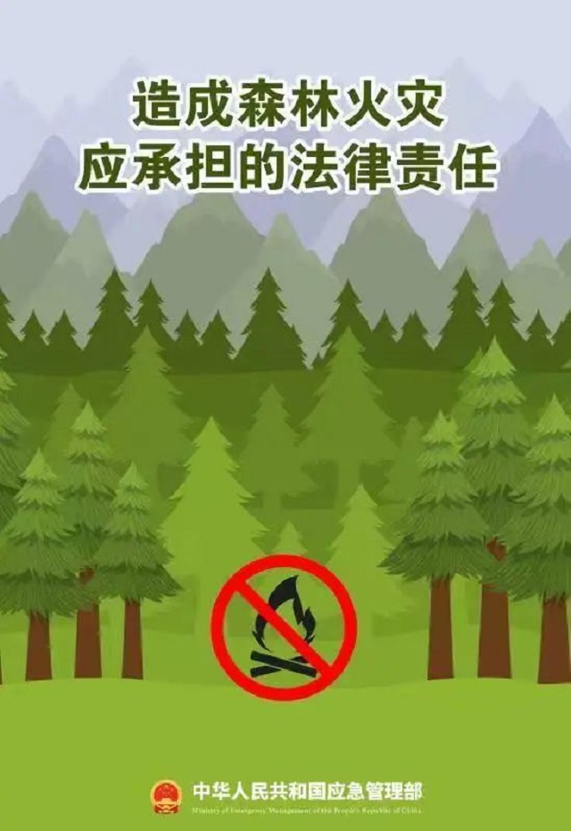 让我们一起去植树！3.jpg