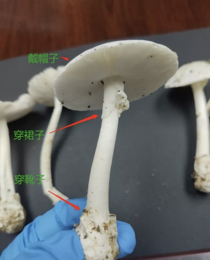 已编辑图片