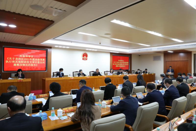 人大审议整改工作报告图.jpg