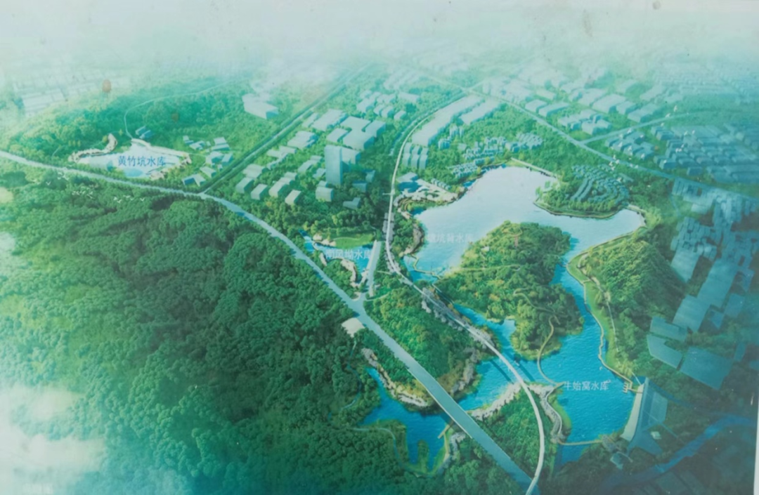 20230626龙安物业  助力碧道城市建设，突出国企担当-图片2.png