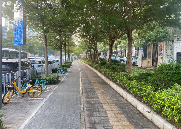 以“行动”治拥堵  用“精心”解民忧2.png