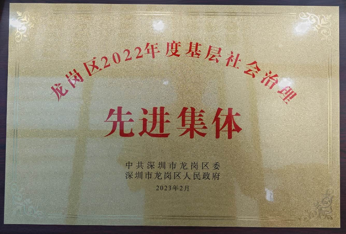 龙岗区2022年度基层社会治理先进集体.jpg