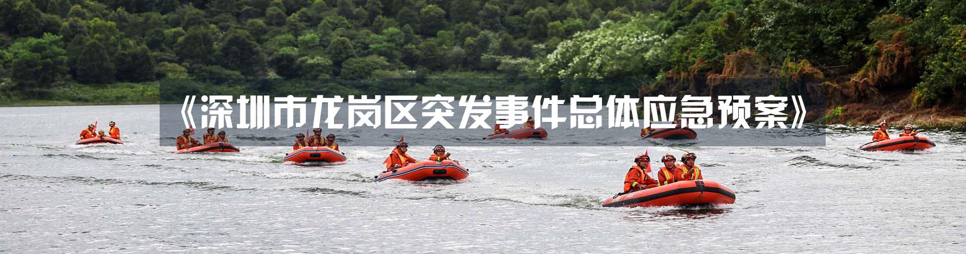 龙岗区突发事件总体应急预案