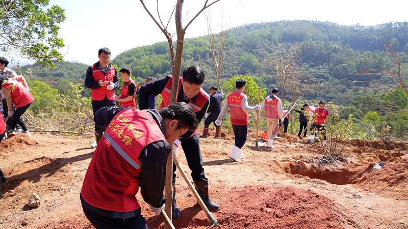 2024年3月12日龙岗街道植树活动01.jpg