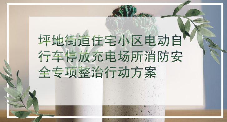 《坪地街道住宅小区电动自行车停放充电场所消防安全专项整治行动方案》政策解读