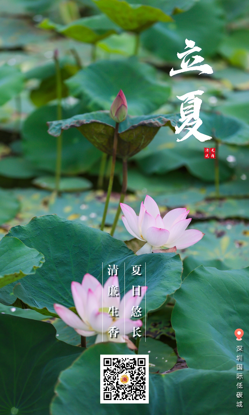 已编辑图片