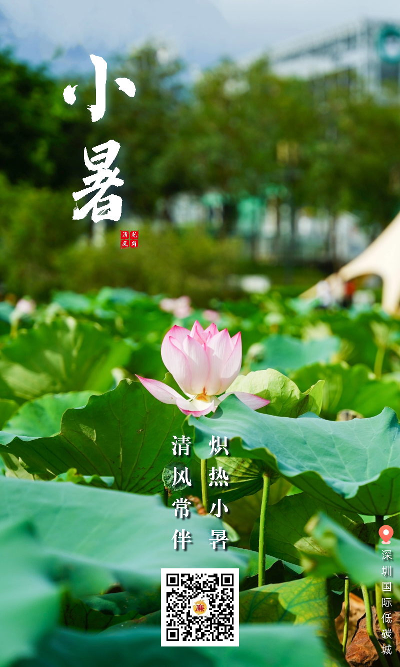小暑.jpg